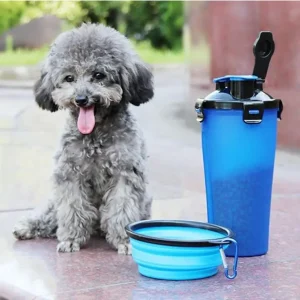 Feeder Dog Bowls Pet